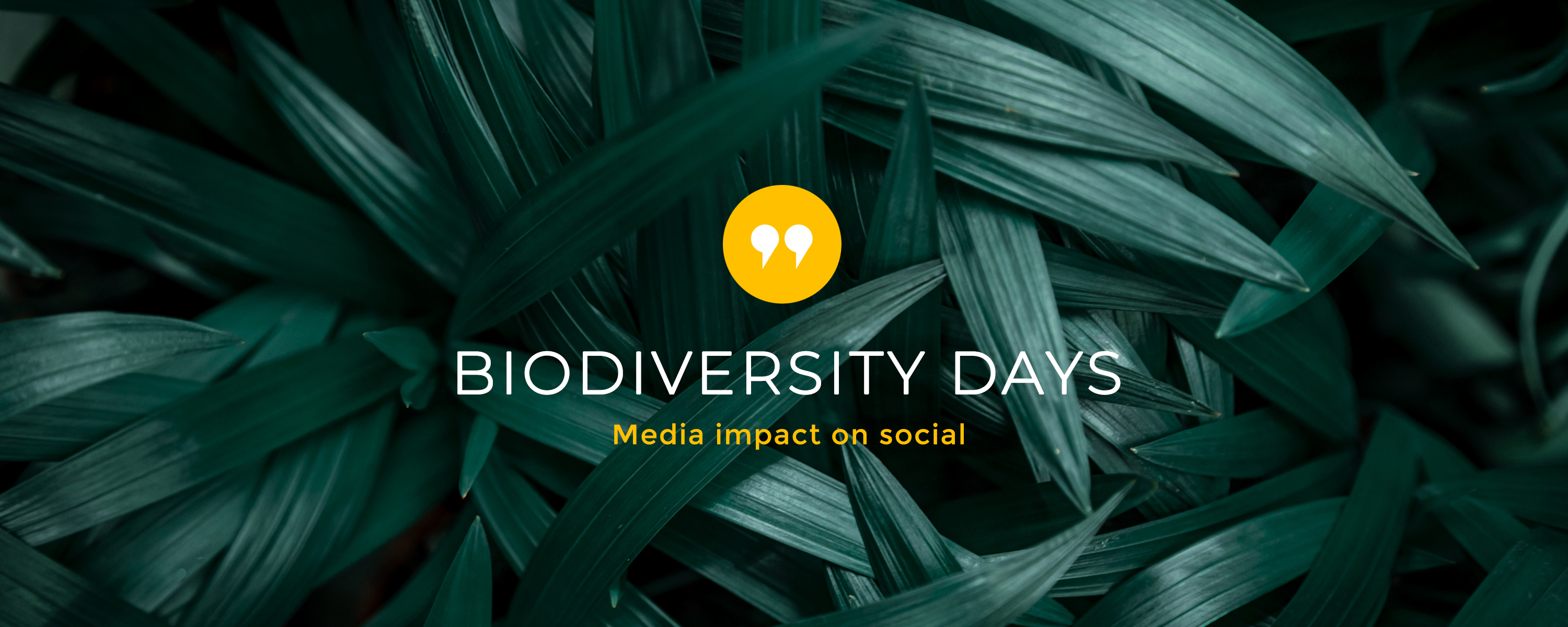 Biodiversity Days 2021